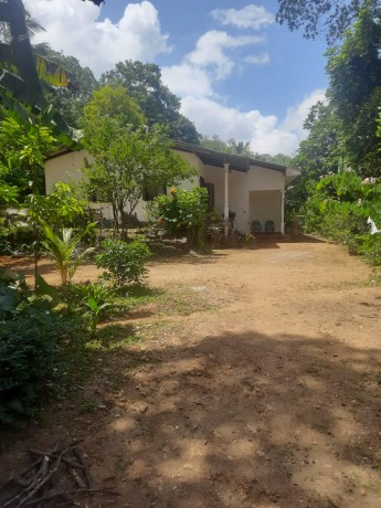 House with Land Sale in Baduraliya